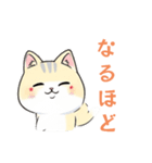 猫と私とときどきLINE（個別スタンプ：11）