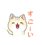 猫と私とときどきLINE（個別スタンプ：12）
