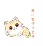猫と私とときどきLINE（個別スタンプ：15）