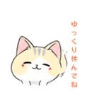 猫と私とときどきLINE（個別スタンプ：19）