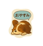 パチヨン✖️チワワのMIXのスタンプ（個別スタンプ：4）
