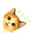 三毛猫ちゃんの使いやすいスタンプにゃ～（個別スタンプ：2）