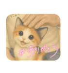 三毛猫ちゃんの使いやすいスタンプにゃ～（個別スタンプ：4）
