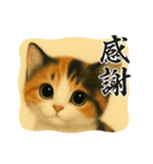 三毛猫ちゃんの使いやすいスタンプにゃ～（個別スタンプ：6）
