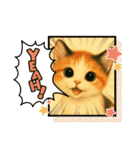 三毛猫ちゃんの使いやすいスタンプにゃ～（個別スタンプ：9）