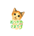 三毛猫ちゃんの使いやすいスタンプにゃ～（個別スタンプ：10）