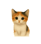 三毛猫ちゃんの使いやすいスタンプにゃ～（個別スタンプ：13）