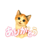 三毛猫ちゃんの使いやすいスタンプにゃ～（個別スタンプ：14）