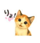 三毛猫ちゃんの使いやすいスタンプにゃ～（個別スタンプ：15）