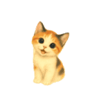 三毛猫ちゃんの使いやすいスタンプにゃ～（個別スタンプ：18）
