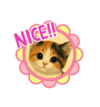 三毛猫ちゃんの使いやすいスタンプにゃ～（個別スタンプ：21）
