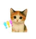三毛猫ちゃんの使いやすいスタンプにゃ～（個別スタンプ：22）