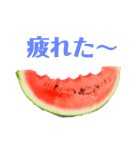 夏に使いやすいスイカスタンプ（個別スタンプ：7）