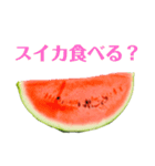 夏に使いやすいスイカスタンプ（個別スタンプ：9）