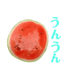 夏に使いやすいスイカスタンプ（個別スタンプ：11）