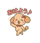 ふわもこトイプードルのほのぼの日常（個別スタンプ：1）