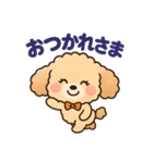 ふわもこトイプードルのほのぼの日常（個別スタンプ：3）