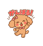 ふわもこトイプードルのほのぼの日常（個別スタンプ：4）