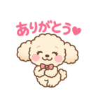 ふわもこトイプードルのほのぼの日常（個別スタンプ：5）