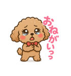 ふわもこトイプードルのほのぼの日常（個別スタンプ：12）