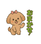 ふわもこトイプードルのほのぼの日常（個別スタンプ：17）