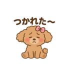 ふわもこトイプードルのほのぼの日常（個別スタンプ：18）