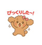 ふわもこトイプードルのほのぼの日常（個別スタンプ：19）