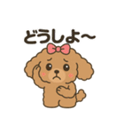 ふわもこトイプードルのほのぼの日常（個別スタンプ：20）