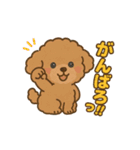 ふわもこトイプードルのほのぼの日常（個別スタンプ：22）