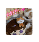 HARORIスタンプ②（個別スタンプ：12）