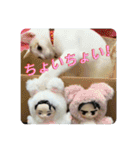 HARORIスタンプ②（個別スタンプ：15）