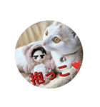 HARORIスタンプ②（個別スタンプ：17）