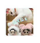 HARORIスタンプ②（個別スタンプ：23）