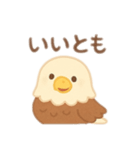 可愛い鷲日本語（個別スタンプ：6）