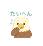 可愛い鷲日本語（個別スタンプ：8）