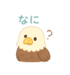 可愛い鷲日本語（個別スタンプ：9）