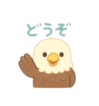 可愛い鷲日本語（個別スタンプ：11）