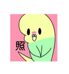 色んな種類のインコちゃんスタンプ（個別スタンプ：9）