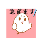色んな種類のインコちゃんスタンプ（個別スタンプ：20）