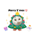 我が家のニャンズ(='ω'=)（個別スタンプ：22）