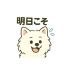 ハクの部屋／負けないぞスタンプ（個別スタンプ：6）