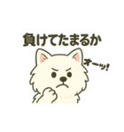 ハクの部屋／負けないぞスタンプ（個別スタンプ：7）