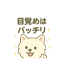 ハクの部屋／負けないぞスタンプ（個別スタンプ：12）