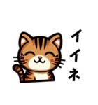 虎猫のマーリー（個別スタンプ：2）