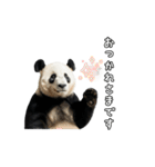 えあこんぱんだ（個別スタンプ：2）