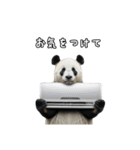 えあこんぱんだ（個別スタンプ：5）