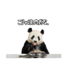 えあこんぱんだ（個別スタンプ：7）
