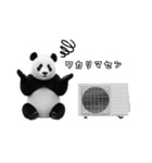 えあこんぱんだ（個別スタンプ：25）