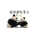 えあこんぱんだ（個別スタンプ：27）