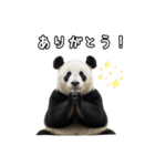 えあこんぱんだ（個別スタンプ：28）